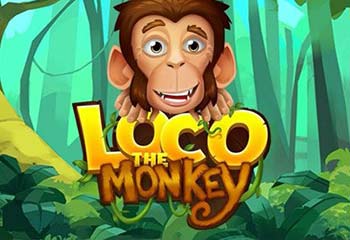 Loco the Monkey
