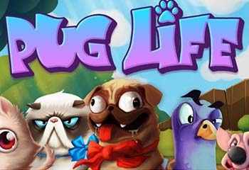 Pug Life