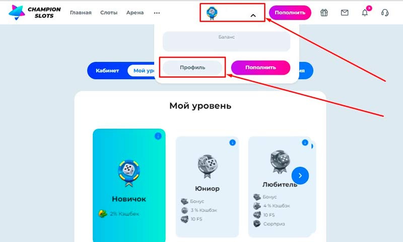 Интерфейс сайта